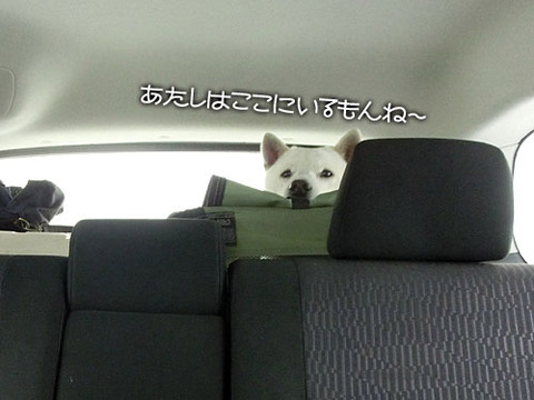 2013042305