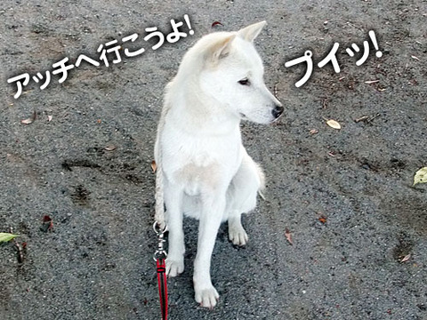2011060402