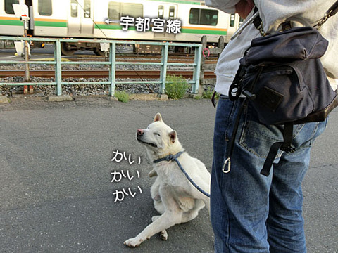 2013041704