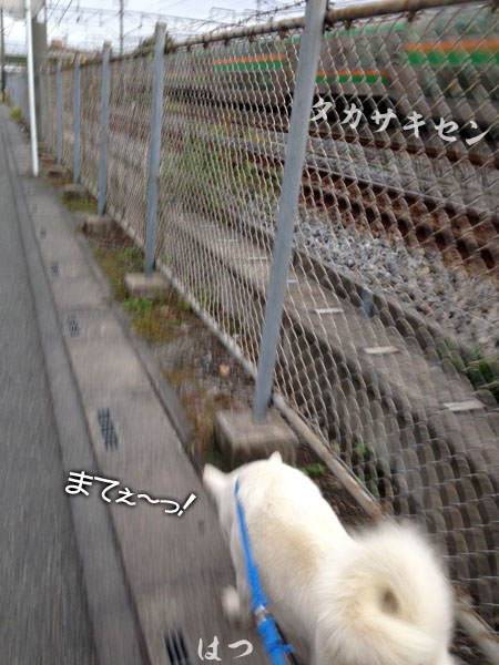 2013102403