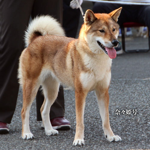 2016100307