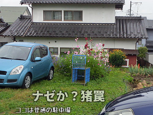 2015070503