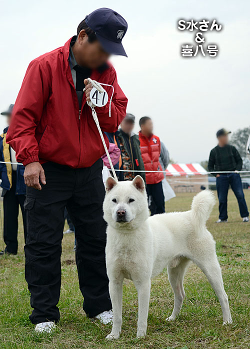 66a123d7.jpg