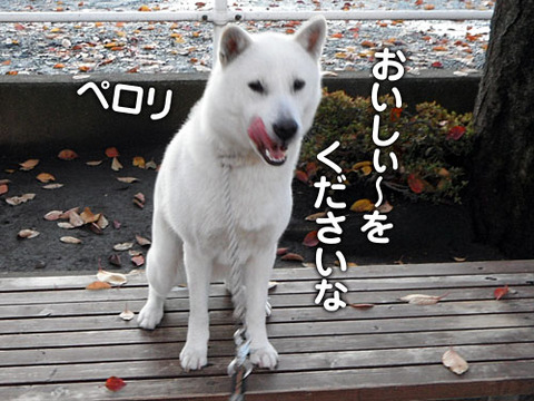 2011121003
