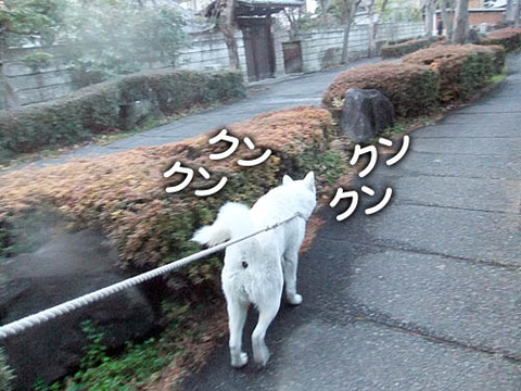 2011020906