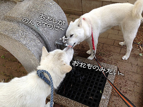 2013050904