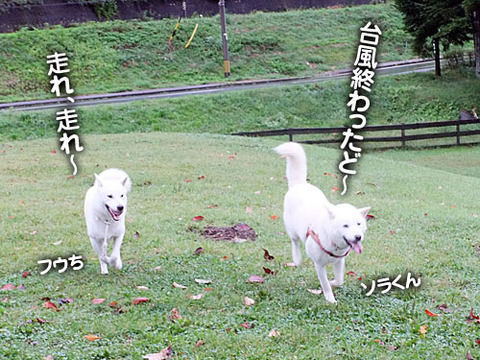 2011092407