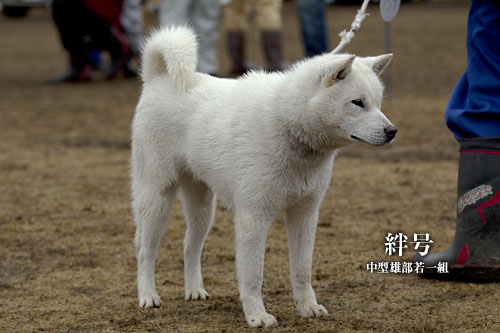 2014030504