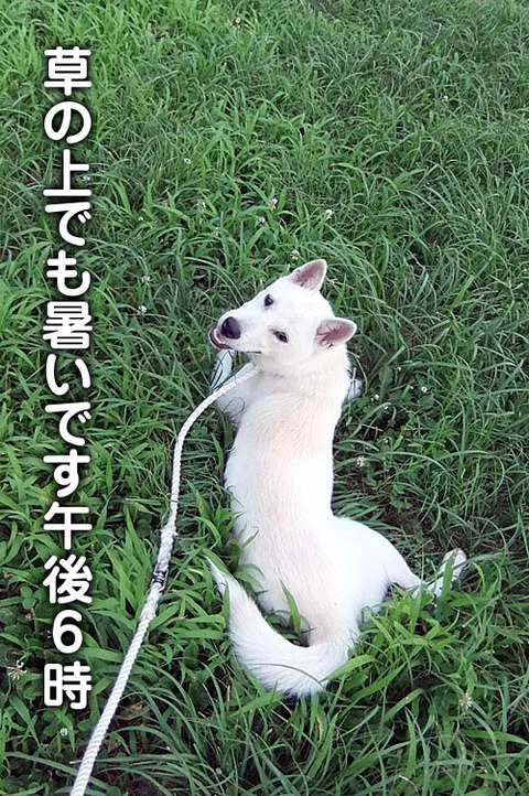 2010072101