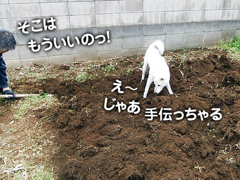 2011042309