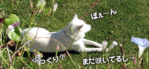 2011112102