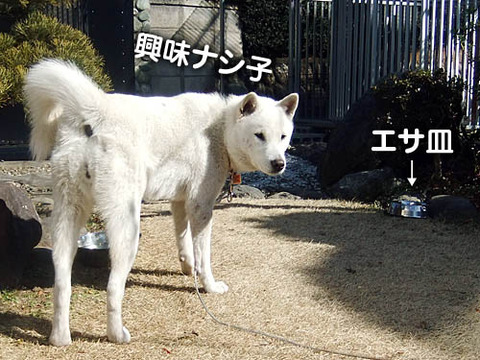 2011020401