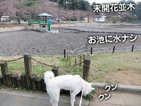 2011040301