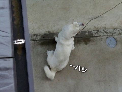 2013062201