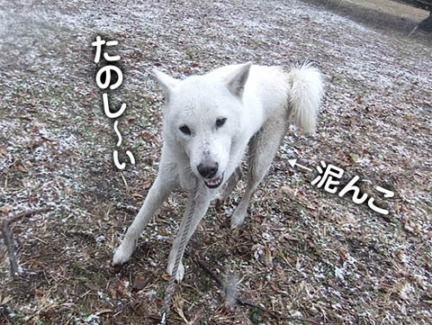 2011021302