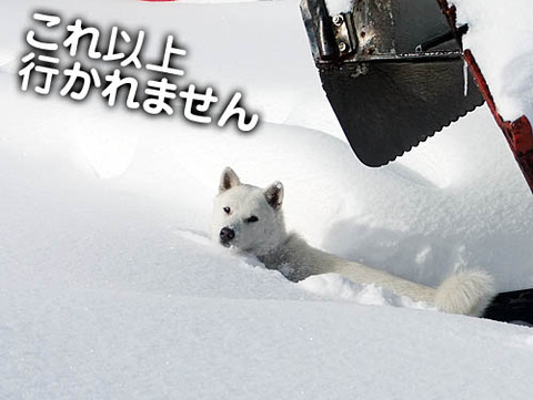 2011011708