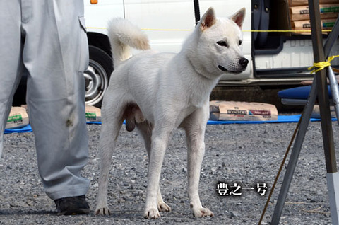 2013092403
