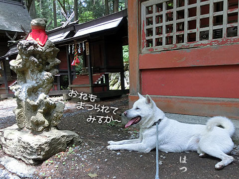 2014062209