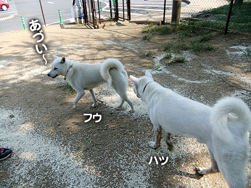 70048382.jpg