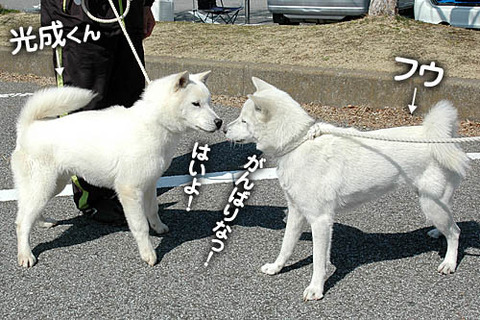 2011031409