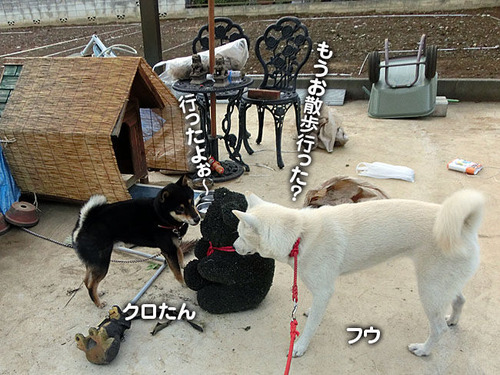70e3bd59.jpg