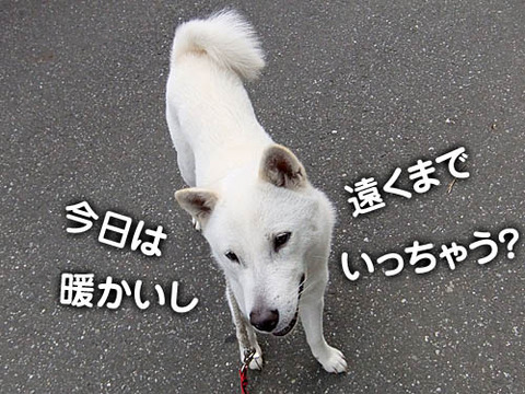 2011051303