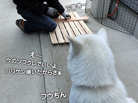 2012122303