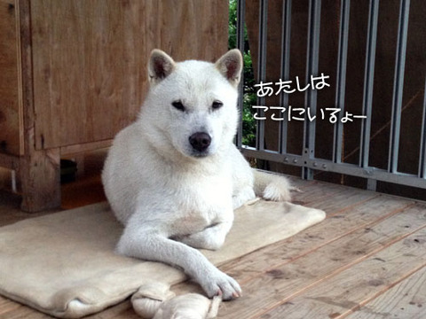 2013062302
