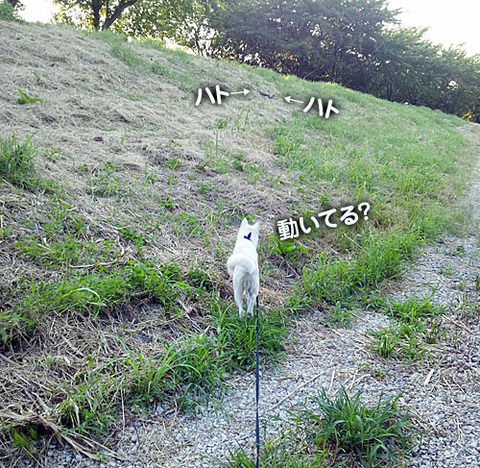 2011071607