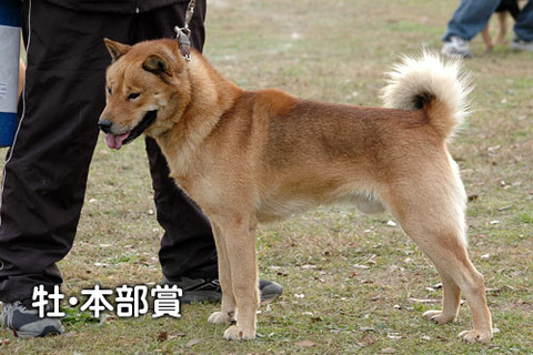 2011112910