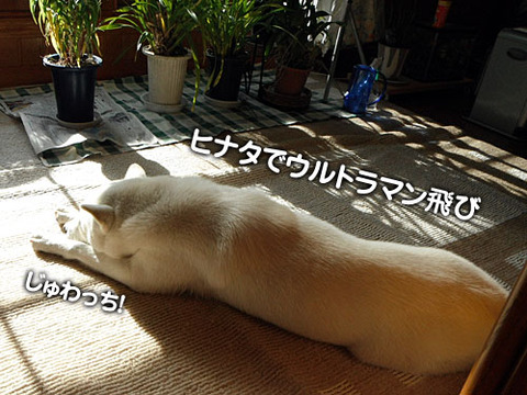 2011120805