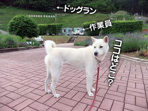 2011070901