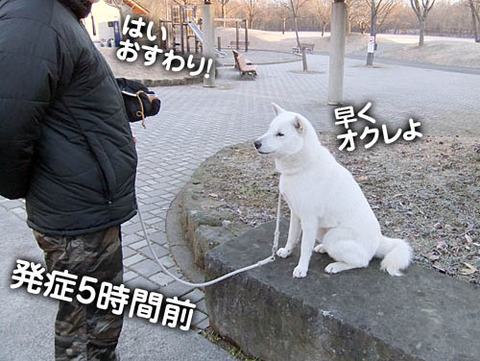 2011010403