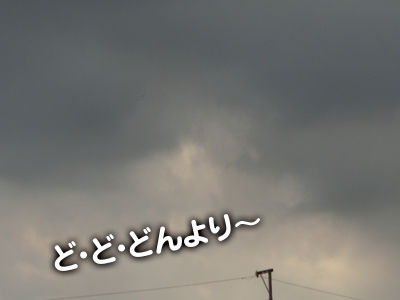 2012091601