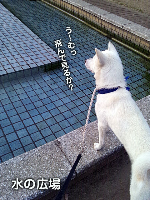2011071613