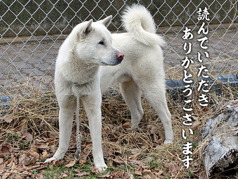 2012122810