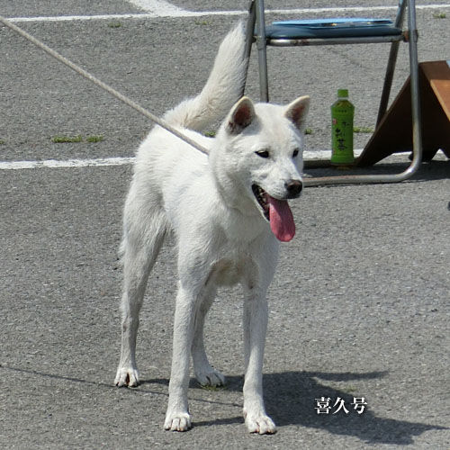 2016051714