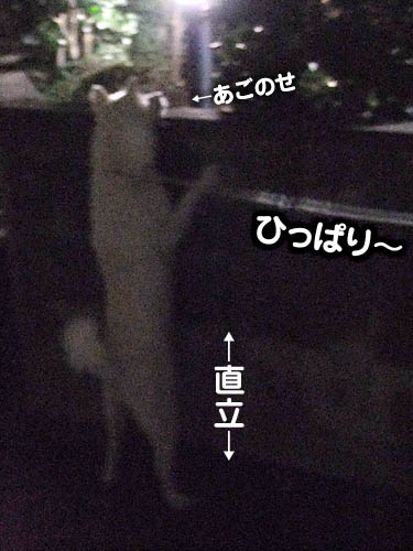 2010102604