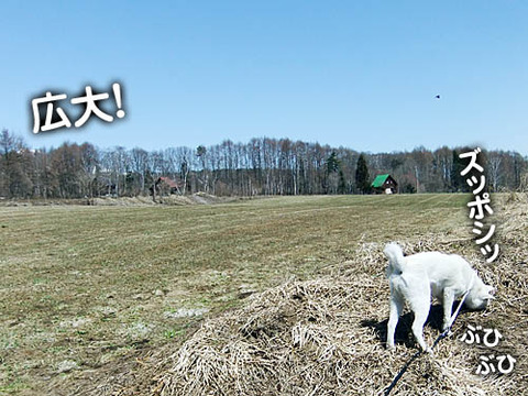 2011041816