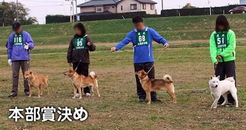 2011112908
