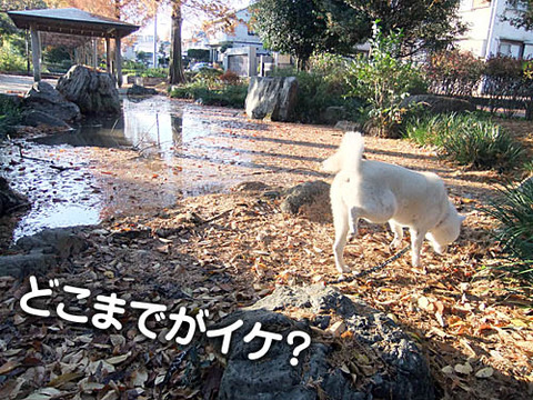 2010120404