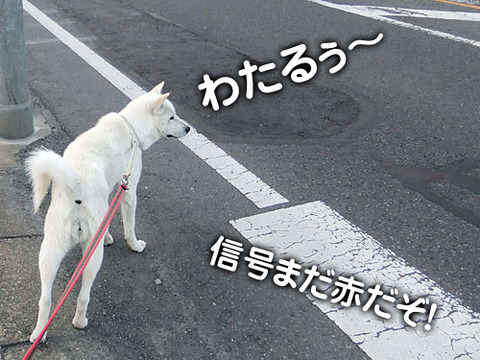 2011052004