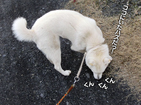 2012120708