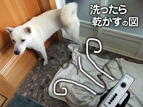 2011081804