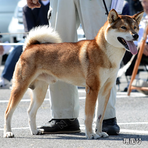 2014100109