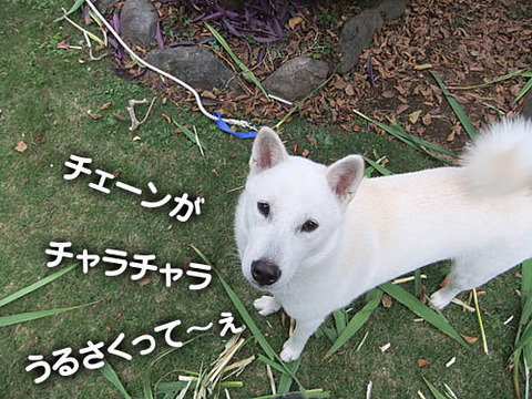 2010102402