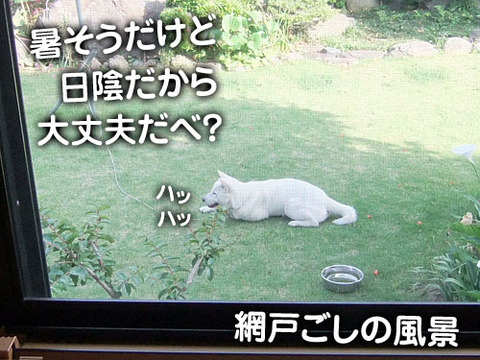 2011052103