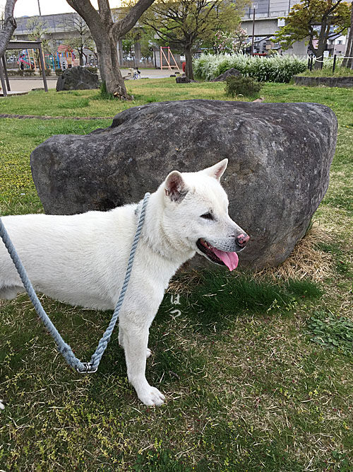 2017050514