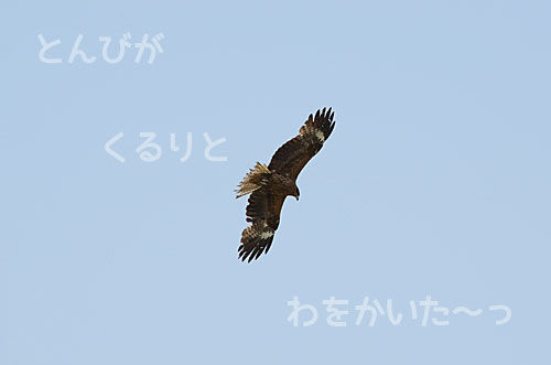 2014050801