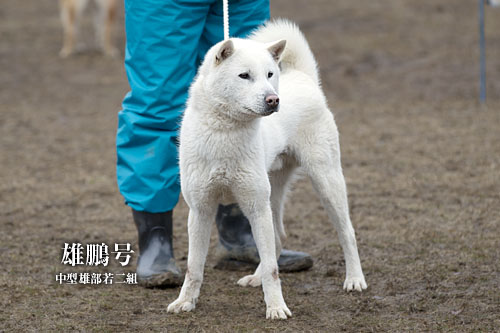 2014030506